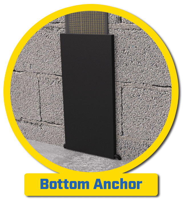 bottomAnchor1